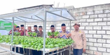 Panen Perdana Demplot Sayuran Hidroponik, DPD LDII Lamongan Perkuat Program Ketahanan Pangan