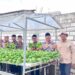 Panen Perdana Demplot Sayuran Hidroponik, DPD LDII Lamongan Perkuat Program Ketahanan Pangan