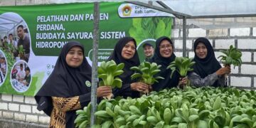 Dukung Pencegahan Stunting, Pengurus GOW Bidang Lingkungan Hidup Ikuti Pelatihan dan Panen Sayuran Hidroponik