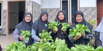 Wanita LDII Lamongan Ikuti Pelatihan dan Panen Hidroponik, Dorong Pola Konsumsi Sayuran Sehat Cegah Stunting