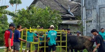 Iduladha 1447 H Menjadi Media Memperkuat Semangat Gotong Royong PAC LDII Pangkatrejo
