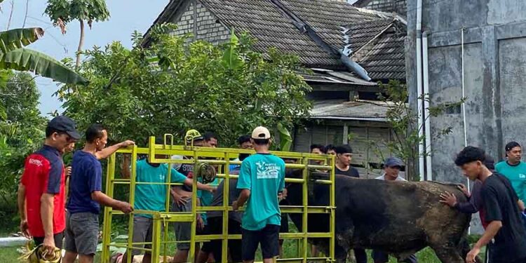 Iduladha 1447 H Menjadi Media Memperkuat Semangat Gotong Royong PAC LDII Pangkatrejo