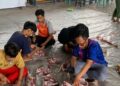 Rayakan Iduladha, Ponpes Sulthon Auliya’ Qurban 6 Kambing dari Hasil Tabungan Satu Tahun