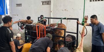 Pererat Semangat Gotong Royong, Warga PC LDII Maduran Laksanakan Qurban Bersama