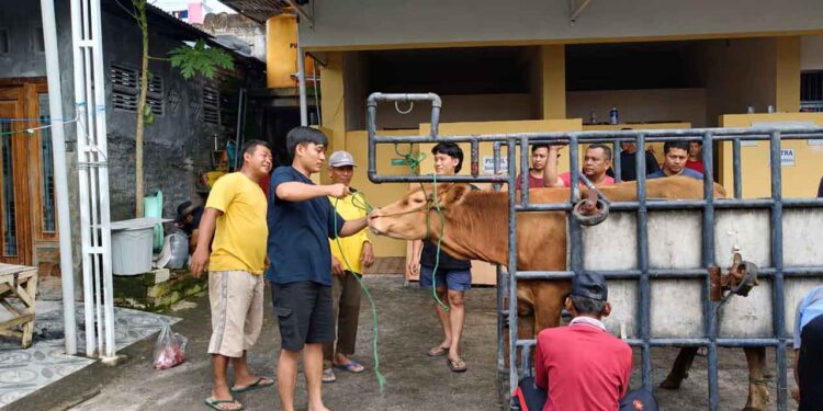 Iduladha 2026, LDII Lamongan Salurkan 975 Hewan Kurban Rp12 Miliar