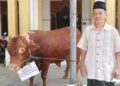 LDII Lamongan Terima Sapi Kurban Bantuan dari Bupati