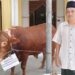LDII Lamongan Terima Sapi Kurban Bantuan dari Bupati