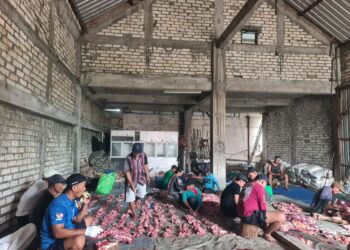 PAC LDII Kendalkemlagi Gotong Royong Pengelolaan dan Pengemasan Daging Kurban