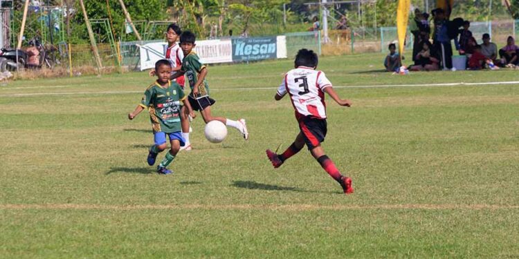 Pemuda LDII Karanggeneng Gelar Festival Liga Anak, Cetak Talenta Sepak Bola Masa Depan